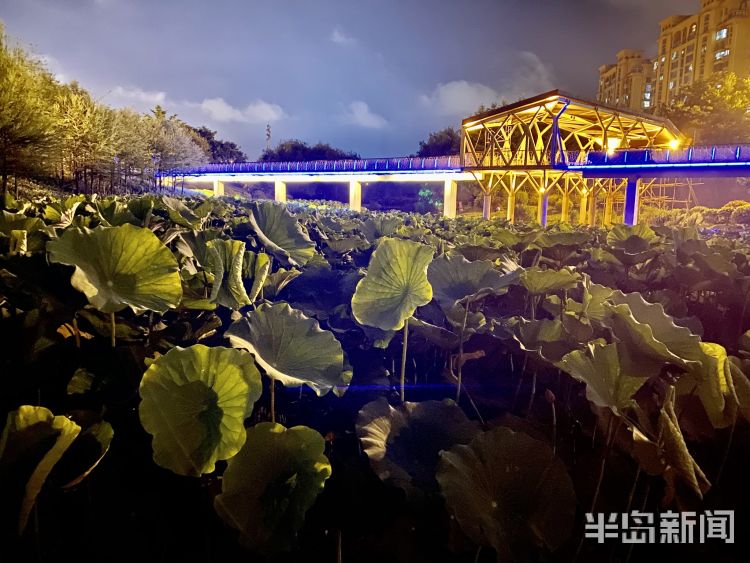 夏夜青岛李村河上游沿河的休闲广场 众多市民来此享受夏夜里的快乐时光