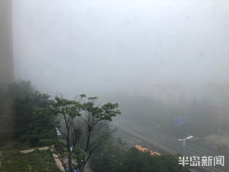 雾气7月7日青岛沿海一线现大雾天气 请注意防范