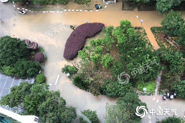 高考四天青岛以多云为主 鲁西北部分地区有雷雨相扰