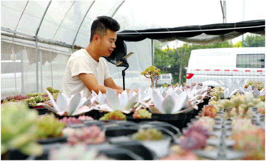 聚力打造农业3.0时代 淄博以数字经济赋能农业转型发展