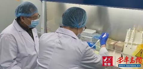 崂山崂山巨峰科创：投贷联动助科创企业破茧成“蝶”