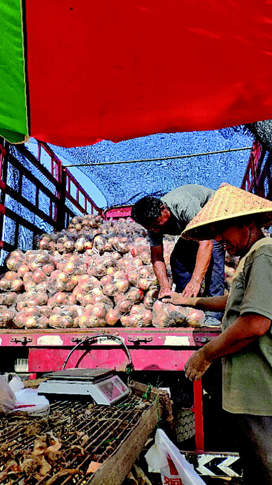 |政府定帮扶方案企业伸援手 潍坊3000万斤滞销圆葱卖出九成