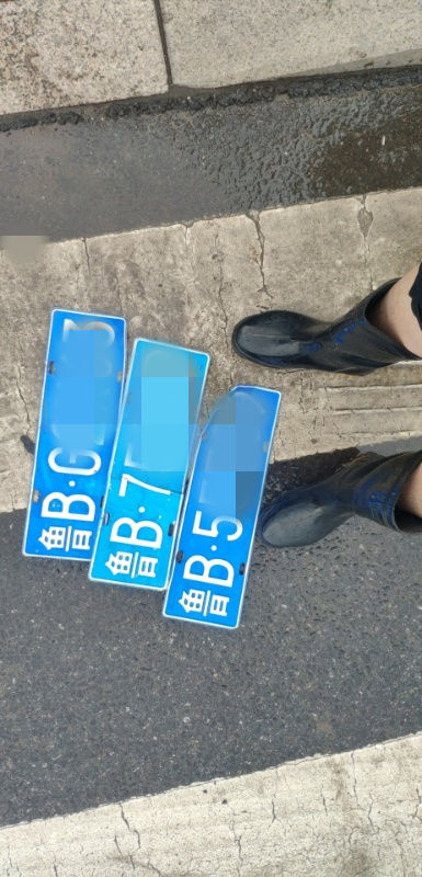冲掉|8副车牌被雨水冲掉 青岛交警捡到及时归还
