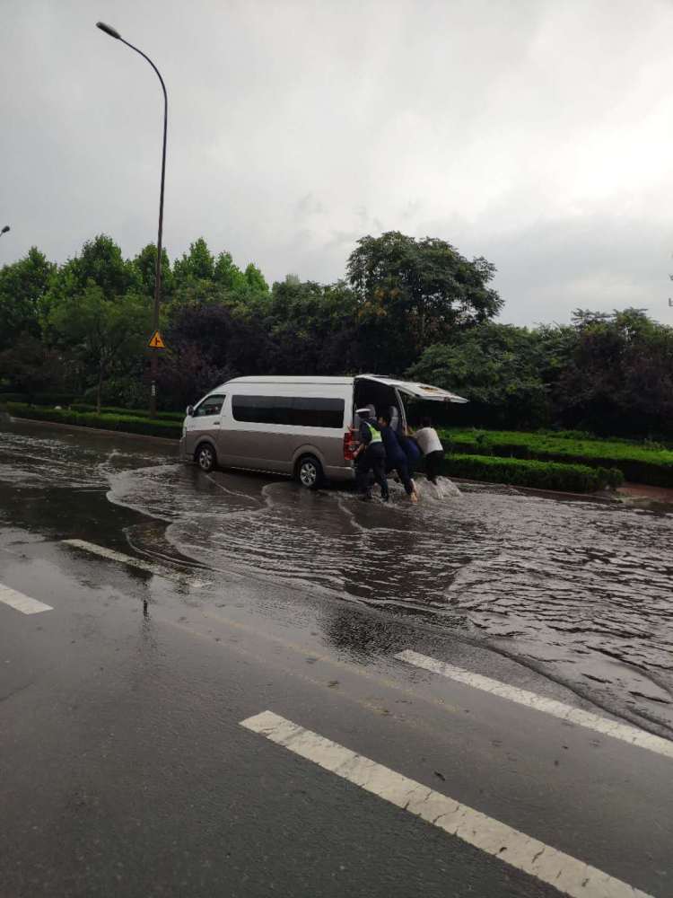 冲掉|8副车牌被雨水冲掉 青岛交警捡到及时归还