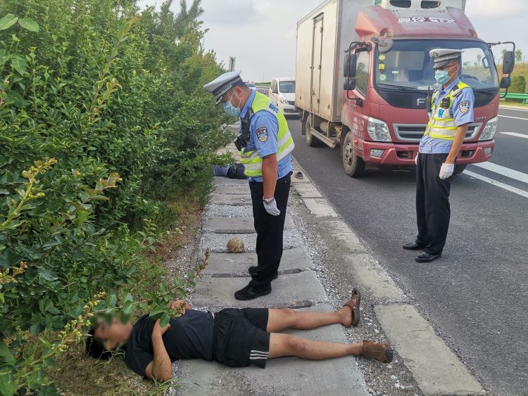 商贩|青岛俩水果商贩在高速路上停车打架 其中一人几近昏迷