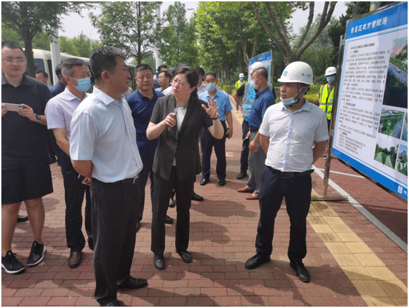 |青岛市园林绿化品质提升暨市办实事现场会召开