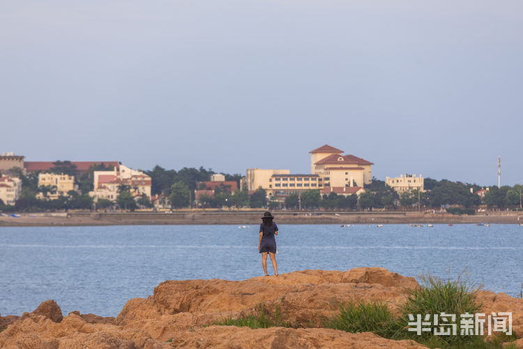 礁石|来青岛海边 欣赏礁石上的风景