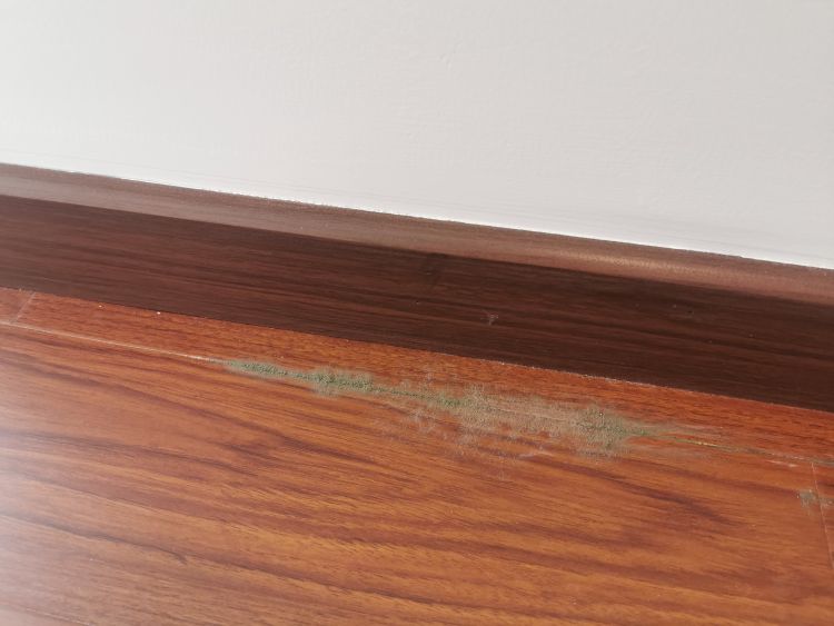 验房|即墨区奥园海泊澜湾小区新房地板竟然发霉了 怎么回事？