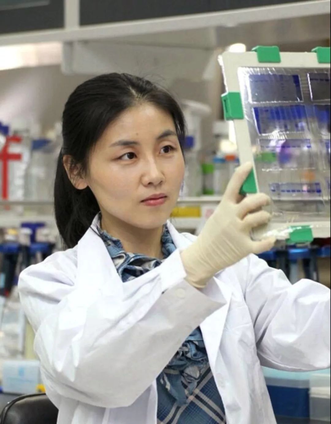 |大数据图解美国华人高端人才(总汇）