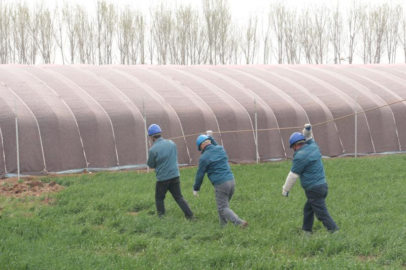 |国网青岛供电公司：照亮乡村振兴之路