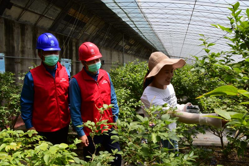 |国网青岛供电公司：照亮乡村振兴之路