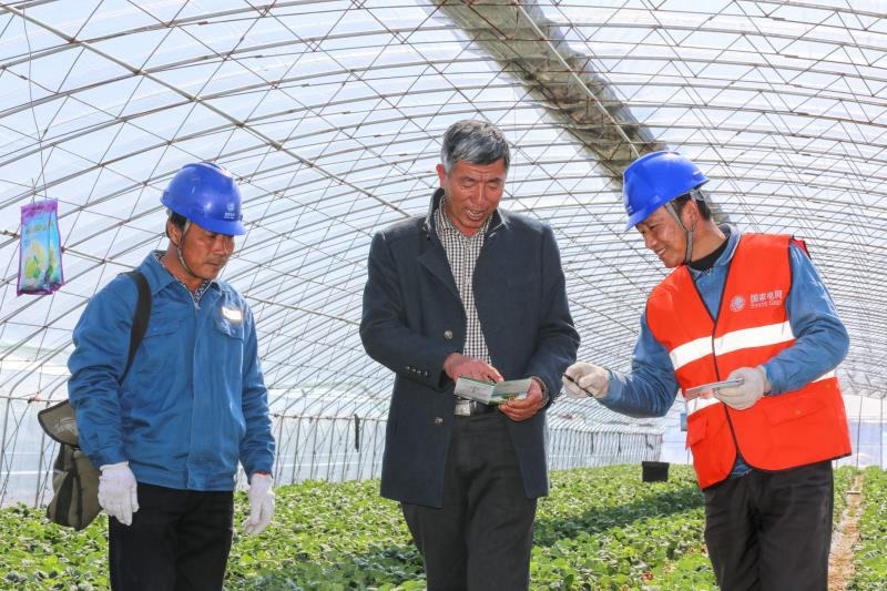 |国网青岛供电公司：照亮乡村振兴之路