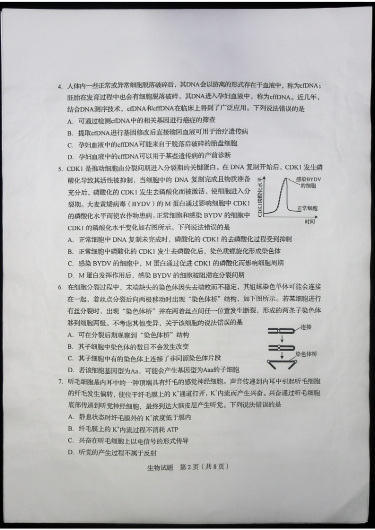 估分|2020山东高考试题和答案来了 快来估分