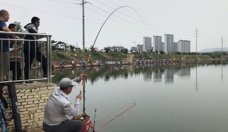 抛竿入|一起抛竿入水 青岛今年首场钓鱼比赛拉开帷幕