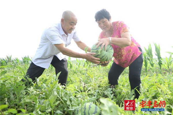 |王台街道：休闲旅游促发展 农品采摘助增收