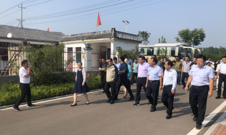 村居|了解村庄设计理念、推进建设方式 青岛美丽村居建设到济宁、潍坊“取经”