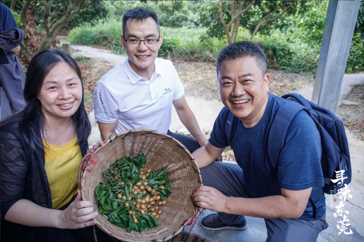 美食|探秘制作技艺、探寻美食背后的文化 城市美食纪录片《寻味东莞》收官