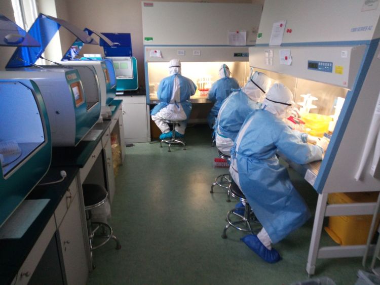 青大|前后奔赴两个“战场” 青大附院援京医生顺利回青