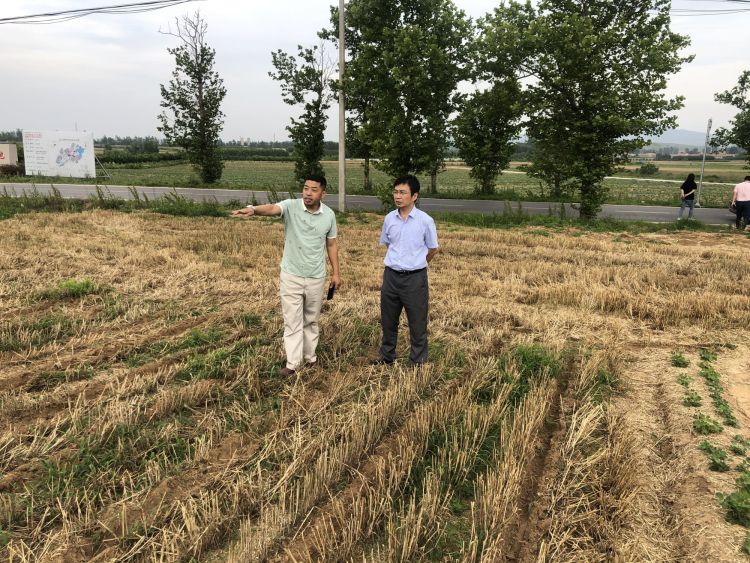 火点|零火点！即墨区秸秆禁烧“夏季卷”完美交卷