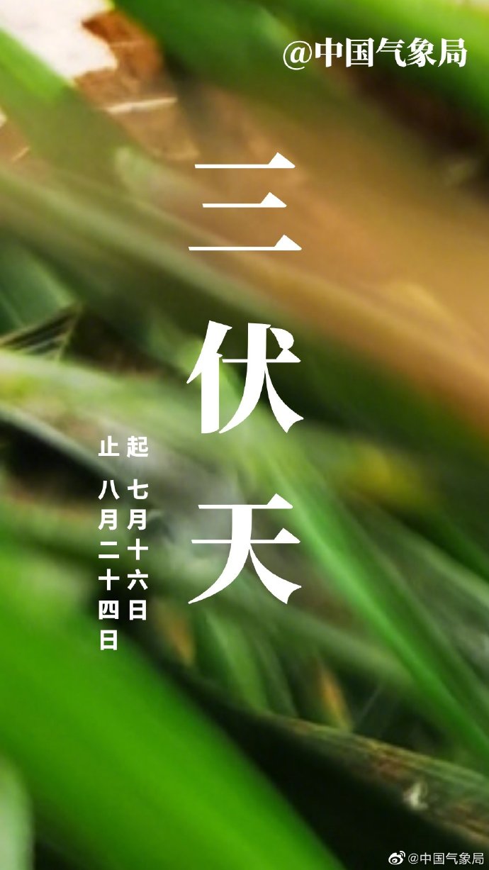 |明天即将进入40天加长版三伏天 7月15日青岛市区最高27℃