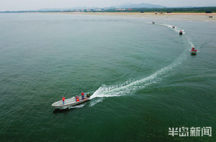 赛马|海上“赛马” 看海军陆战队冲锋舟驾驶训练