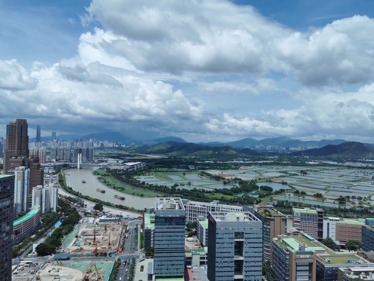 破局|从特区到大湾区深圳经验创建模板和范例 青岛该如何抓住历史机遇