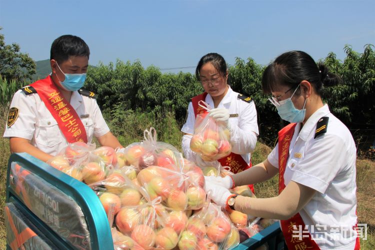 鲜桃|鲜桃成熟却愁坏了即墨老果农 多亏“馨飞扬”志愿者上门帮扶