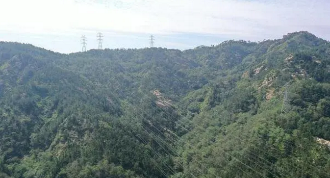 |国内最大规模5G智能电网在青岛西海岸新区建成！