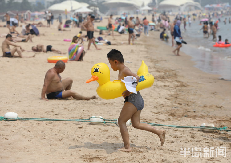 浴场|入伏第一天 青岛第一海水浴场渐“热”