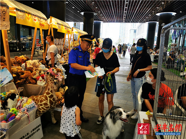 |做文明养犬人 青岛市城管局联合动物协会举办文明养犬宣传活动