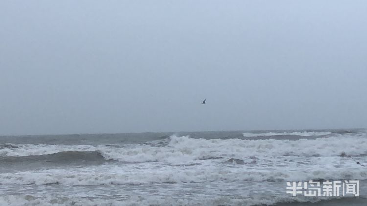 踏风|青岛石老人海水浴场浪高风急 游客踏风逐浪莫忘安全