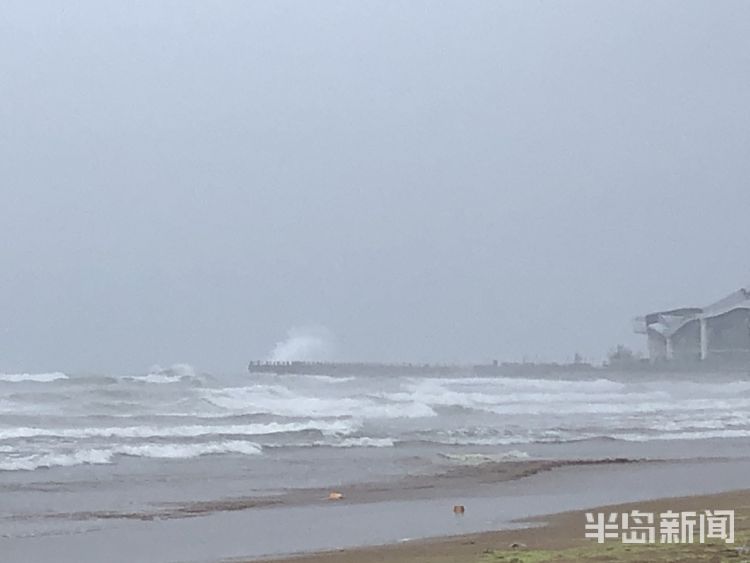 踏风|青岛石老人海水浴场浪高风急 游客踏风逐浪莫忘安全