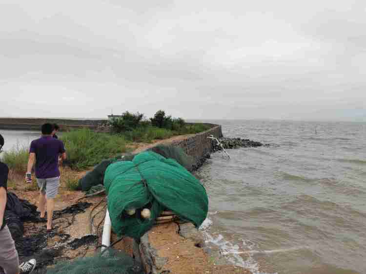 66|66批次样品均未检出敌敌畏 海参养殖户盼尽快全面查清