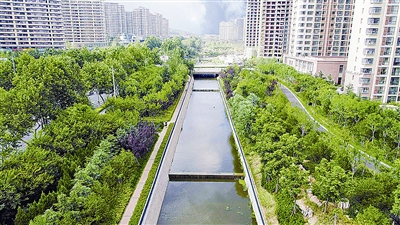 |大雨落地“海绵”吸走八成多 一场强降雨考验青岛“海绵城市”建设