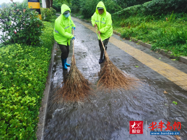 防汛|坚守防汛第一线 记录崂山城管最美身影