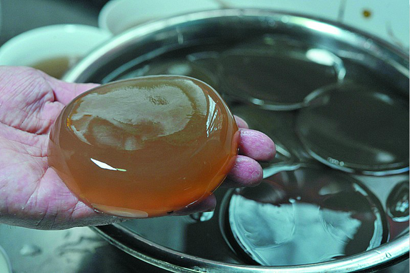 |青岛海边上岸很多石花菜 市民捡回家制作美食凉粉