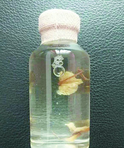 |雨后路边新蘑菇千万不要采 青岛已有人中招！西海岸七旬老人食用野蘑菇中毒身亡