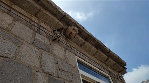 王哥庄|【文明实践 德耀崂山】王哥庄街道网格员联合消防队员摘除马蜂窝，帮居民消隐患