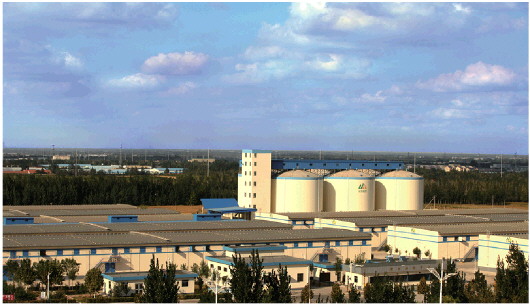 |守住管好“齐鲁粮仓” 山东粮食安全保障能力持续增强