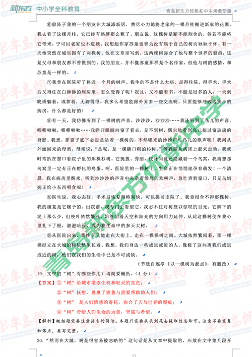 2020年青岛中考语文答案解析及试卷点评(最新发布)