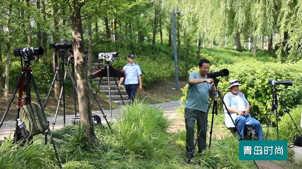 |节气｜大暑 听说青岛要热起来了 请收好这条经典纳凉路线