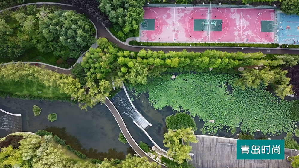 |节气｜大暑 听说青岛要热起来了 请收好这条经典纳凉路线
