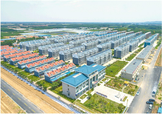 |诸城枳沟镇北杏社区迎来新面貌 泥土地里有“致富经”