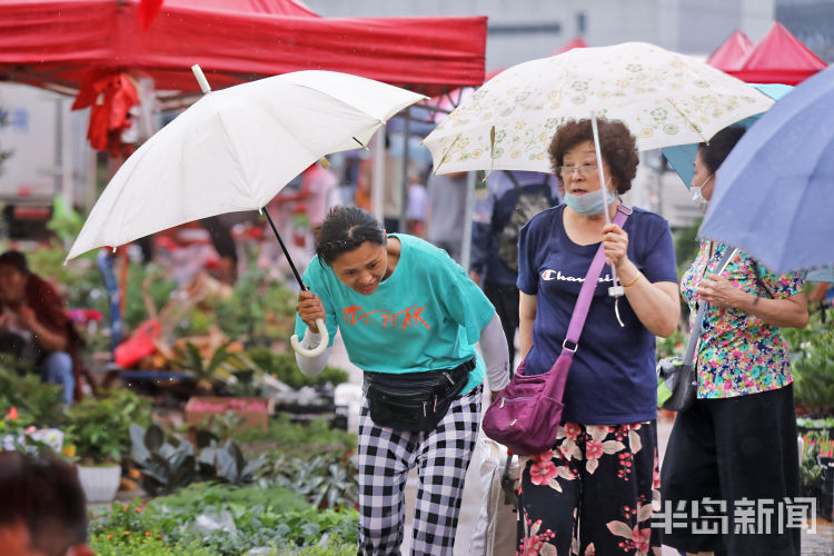 李村集|雨中闲步李村集