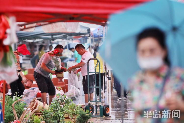 李村集|雨中闲步李村集