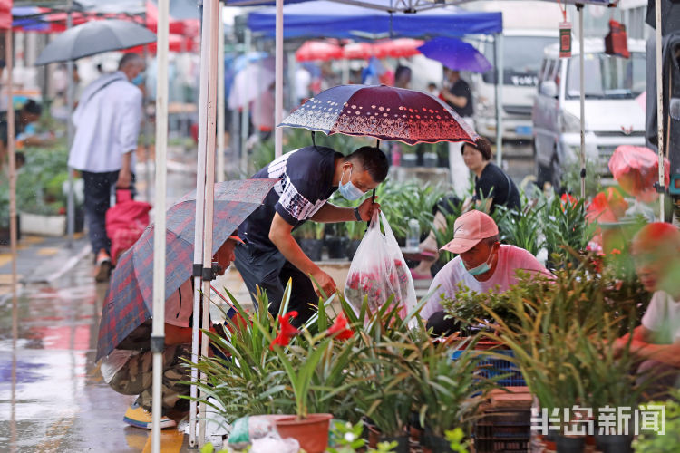 李村集|雨中闲步李村集