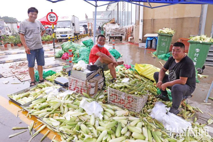 李村集|雨中闲步李村集