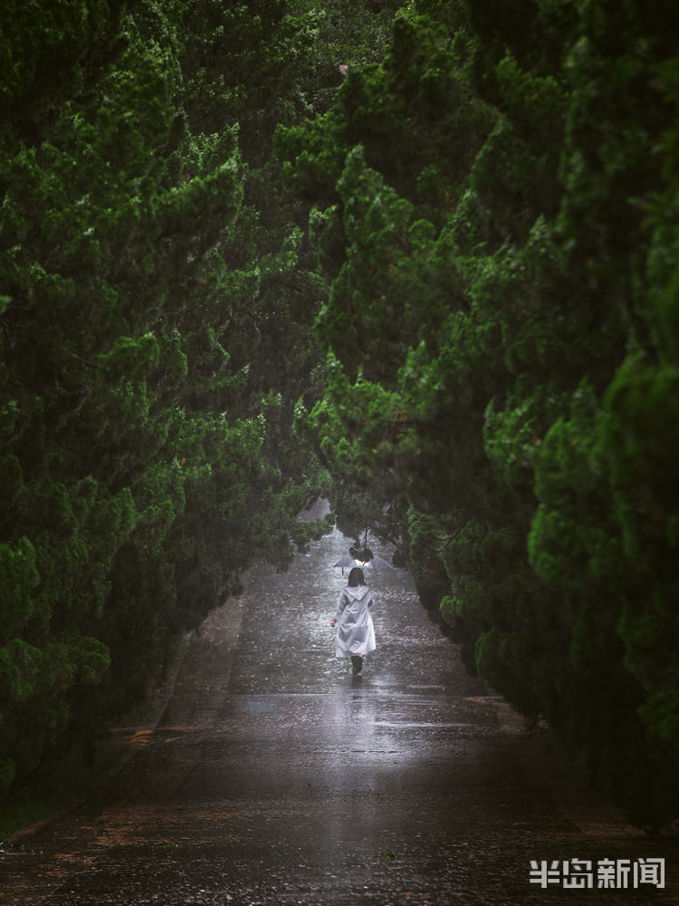 八大关|有一种风景 叫八大关的雨