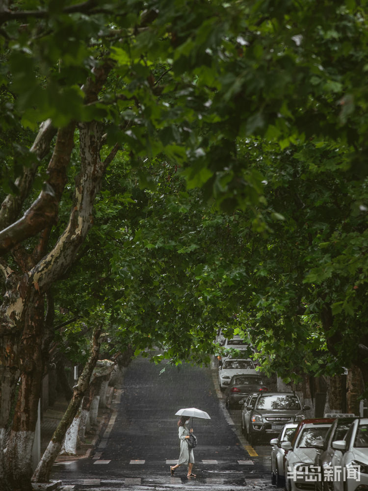 八大关|有一种风景 叫八大关的雨