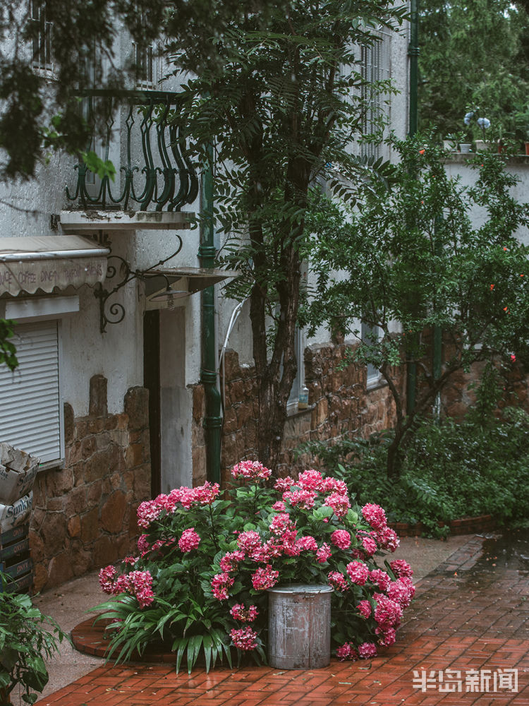 八大关|有一种风景 叫八大关的雨